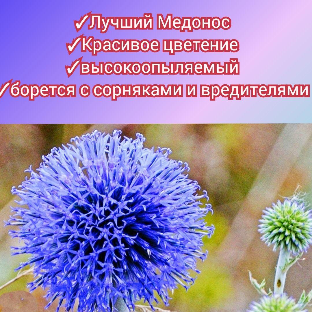 https://cdn1.ozone.ru/s3/multimedia-1-j/6912103771.jpg