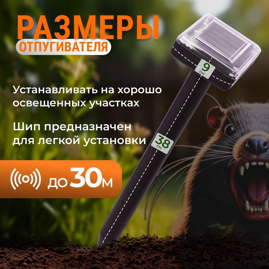 https://cdn1.ozone.ru/s3/multimedia-1-j/7019626627.jpg