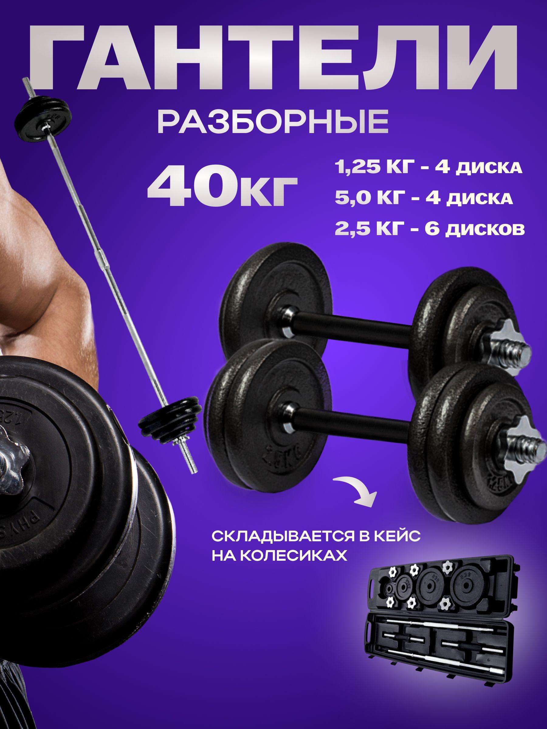 Гантели разборные Sundays Fitness IR92075A, набор, в кейсе, 50 кг