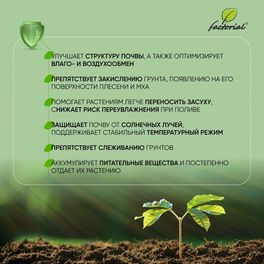 https://cdn1.ozone.ru/s3/multimedia-1-k/6959086976.jpg