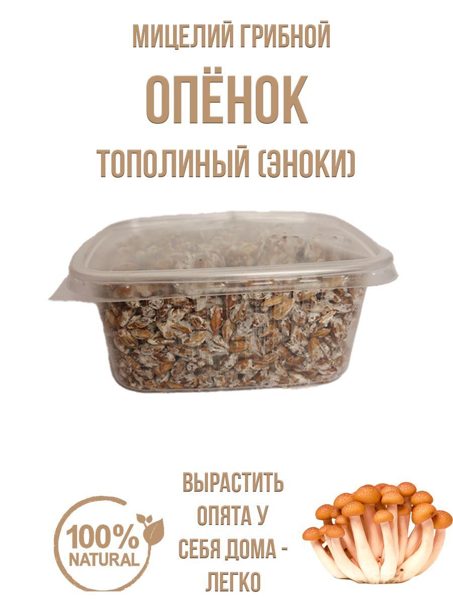 Simple Food Organic | Мицелий опёнок тополиный зерновой грибница домашняя