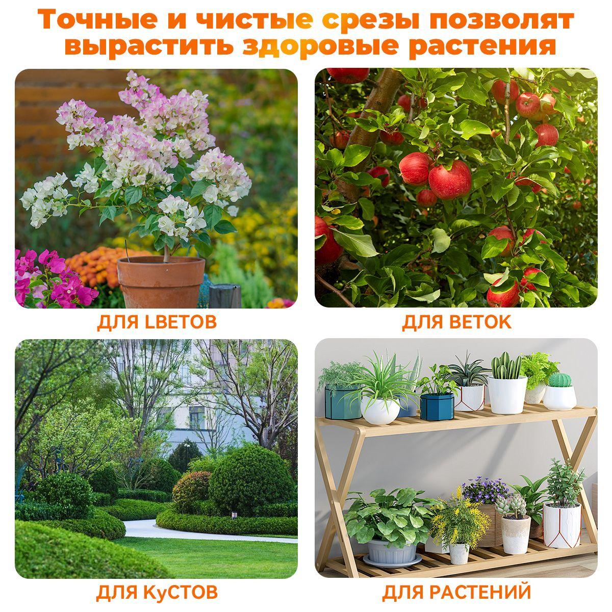 https://cdn1.ozone.ru/s3/multimedia-1-k/7076555624.jpg