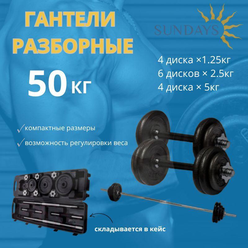 Гантели разборные Sundays Fitness IR92075A, набор, в кейсе, 50 кг