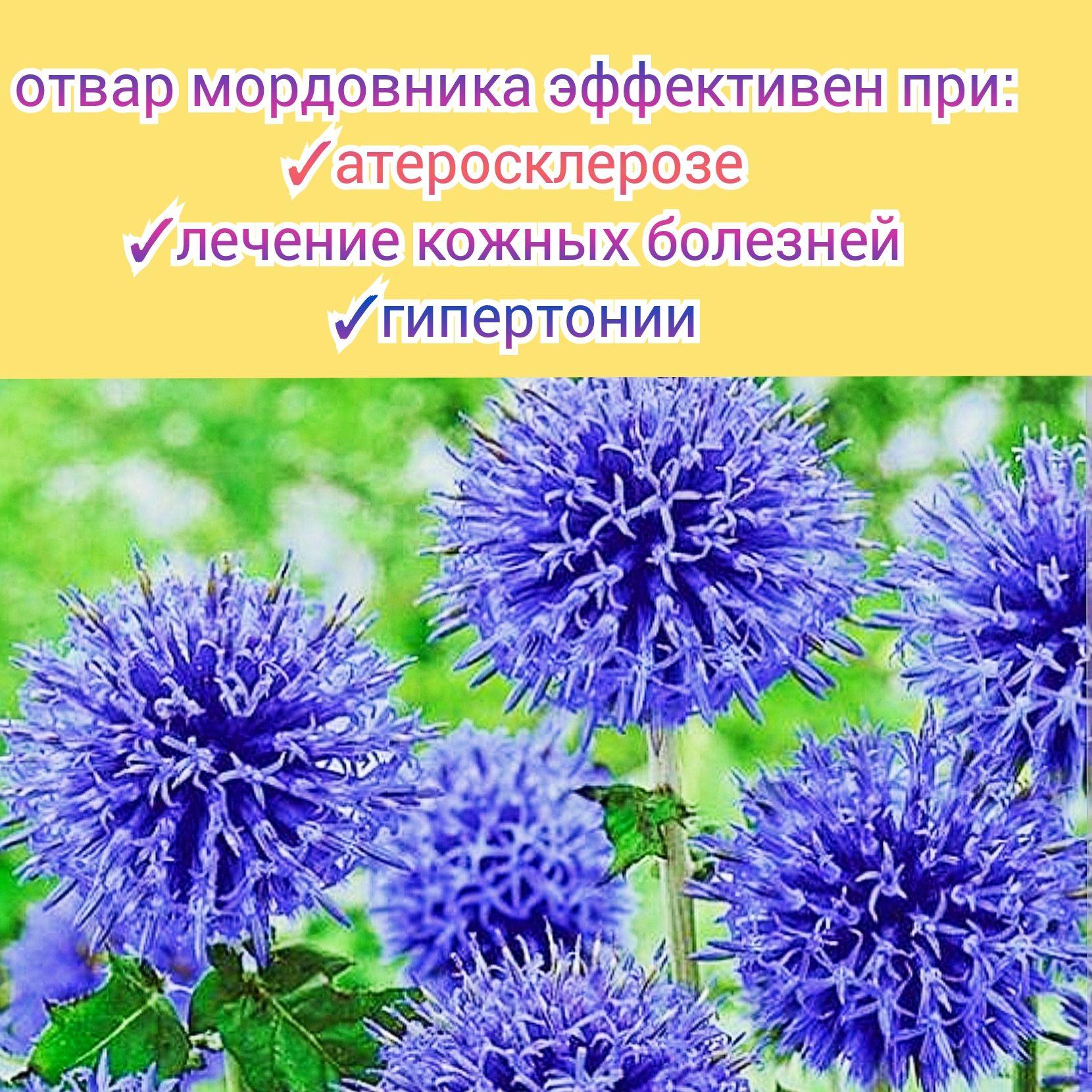 https://cdn1.ozone.ru/s3/multimedia-1-l/6912103773.jpg