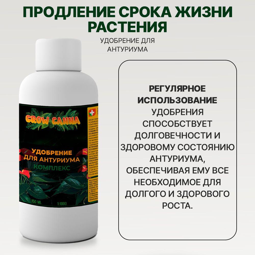 https://cdn1.ozone.ru/s3/multimedia-1-l/7074945273.jpg