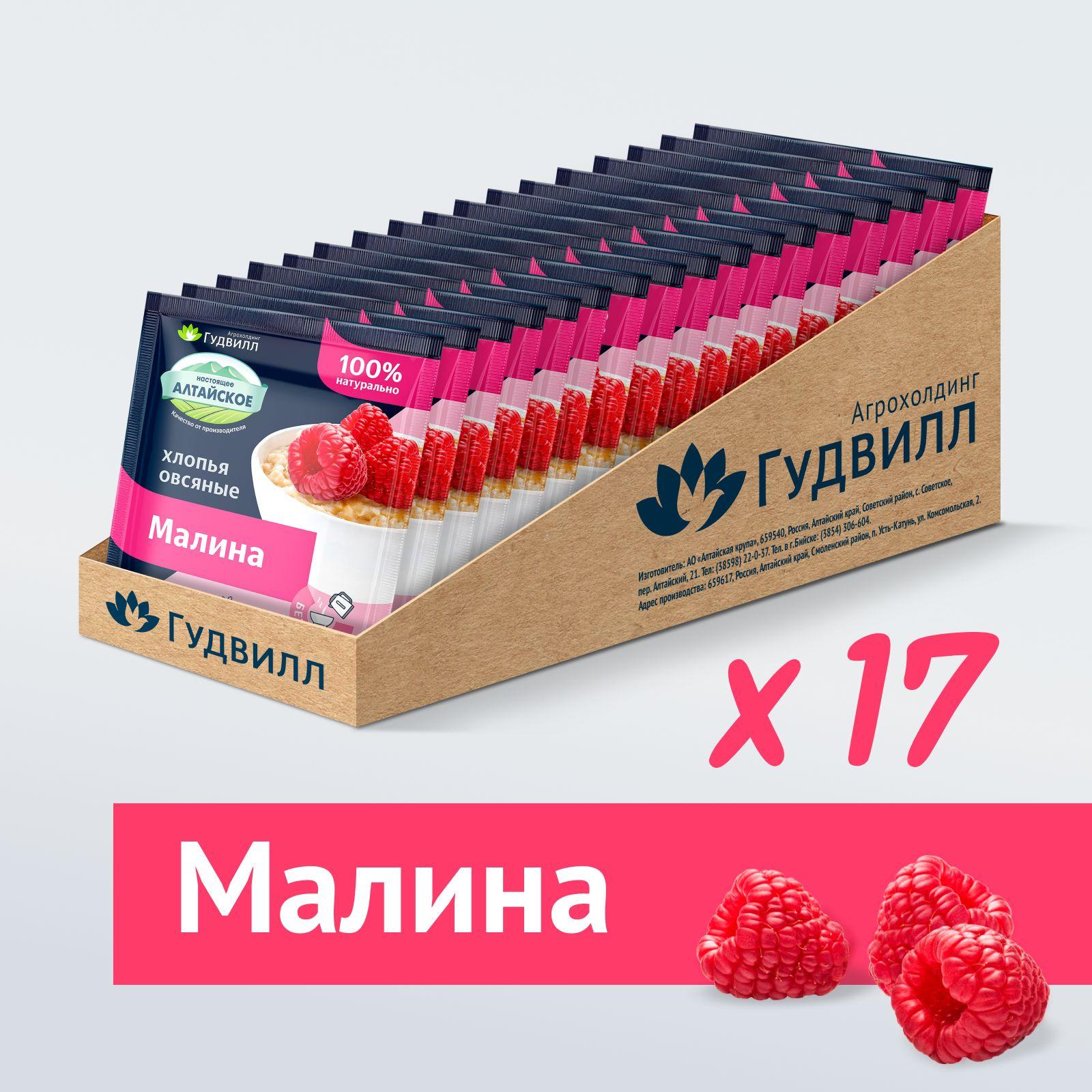 Каша быстрого приготовления малина Гудвилл 17 пакетиков по 40 гр