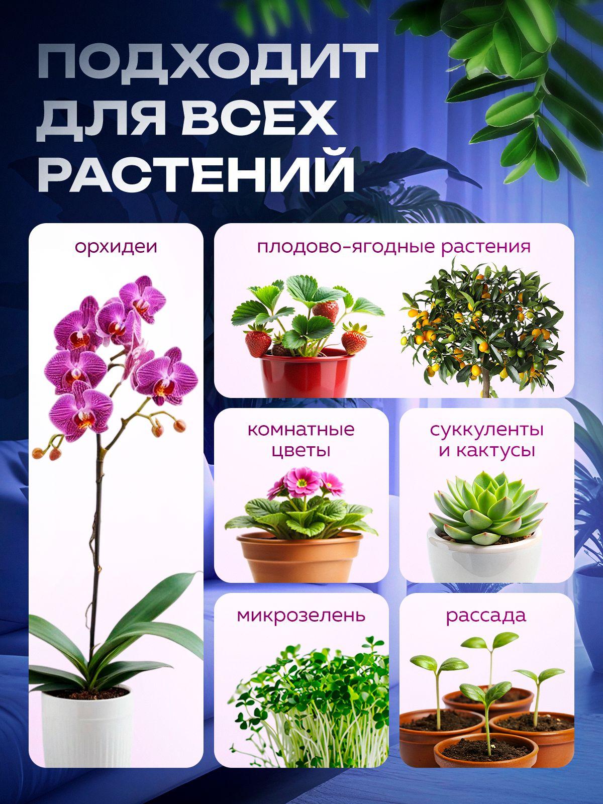 https://cdn1.ozone.ru/s3/multimedia-1-l/7144575141.jpg