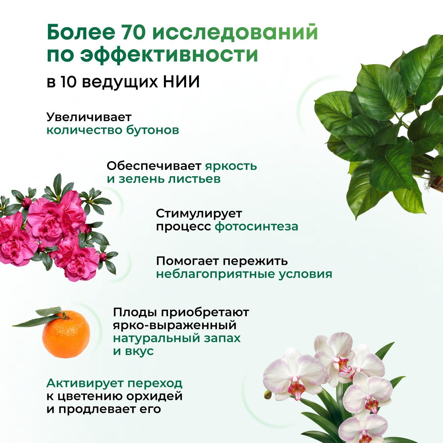 https://cdn1.ozone.ru/s3/multimedia-1-l/7162109553.jpg