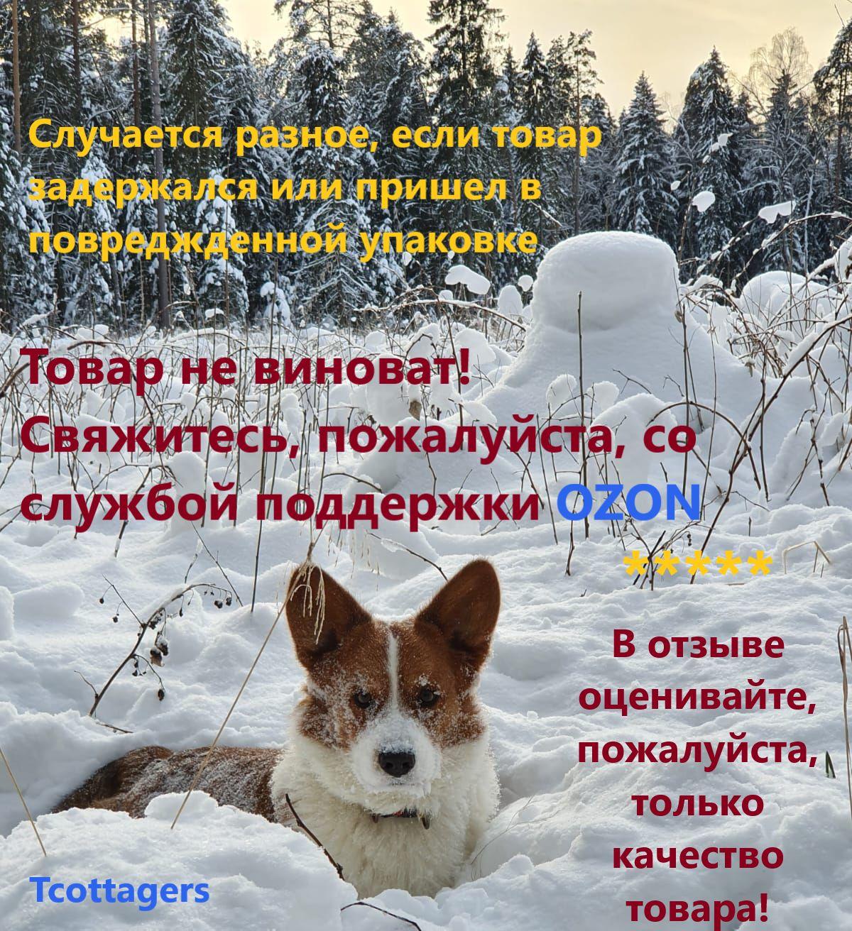 https://cdn1.ozone.ru/s3/multimedia-1-m/6910940974.jpg