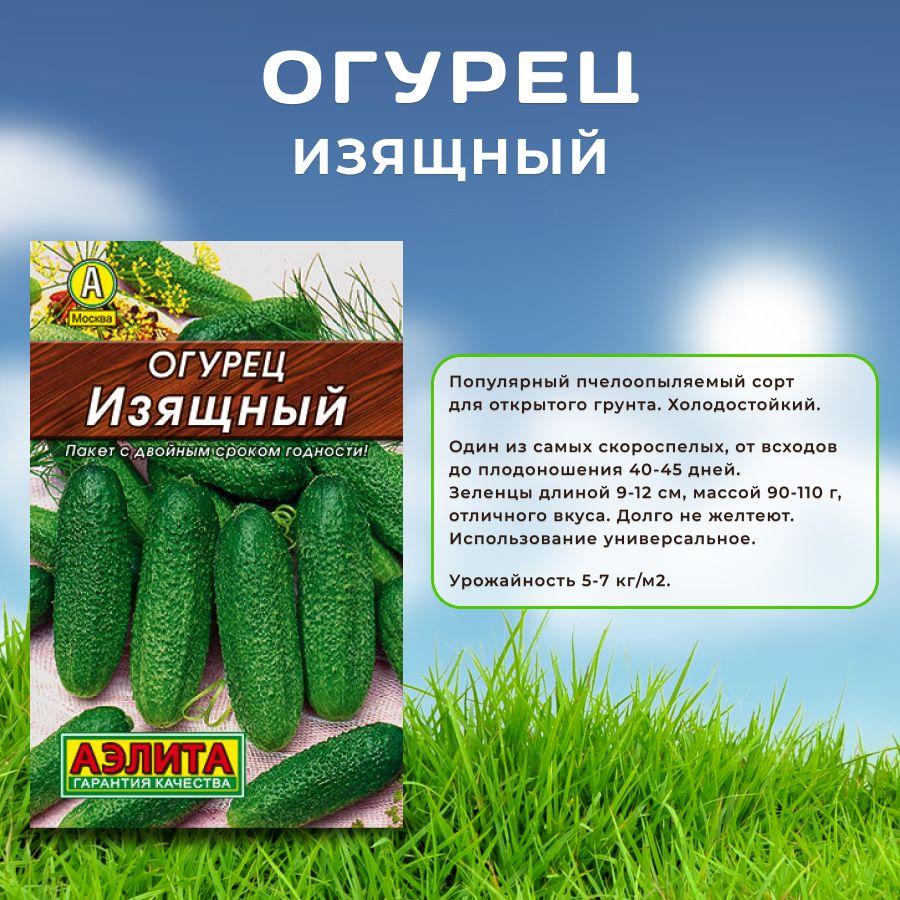 https://cdn1.ozone.ru/s3/multimedia-1-m/7039765858.jpg