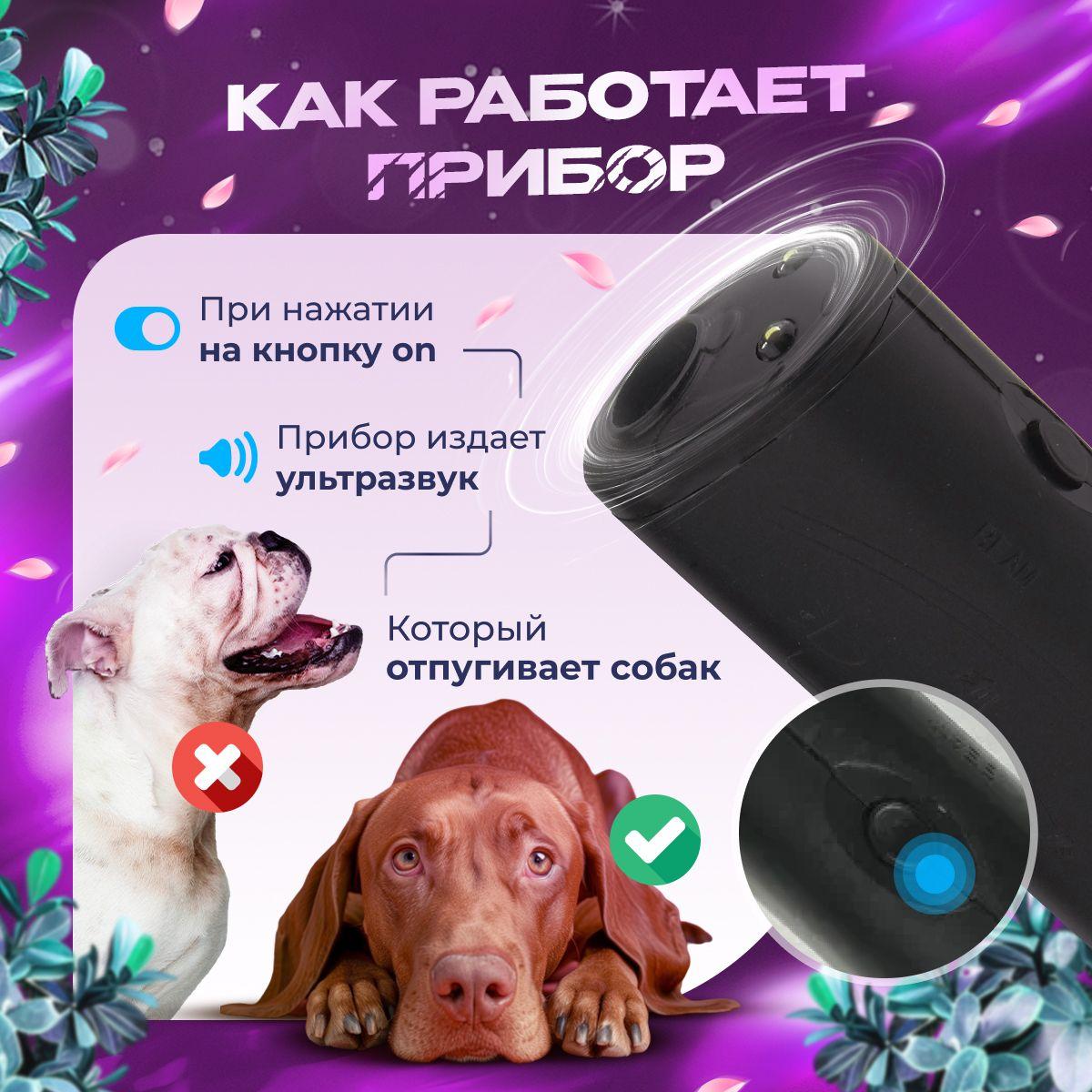 https://cdn1.ozone.ru/s3/multimedia-1-m/7059234910.jpg