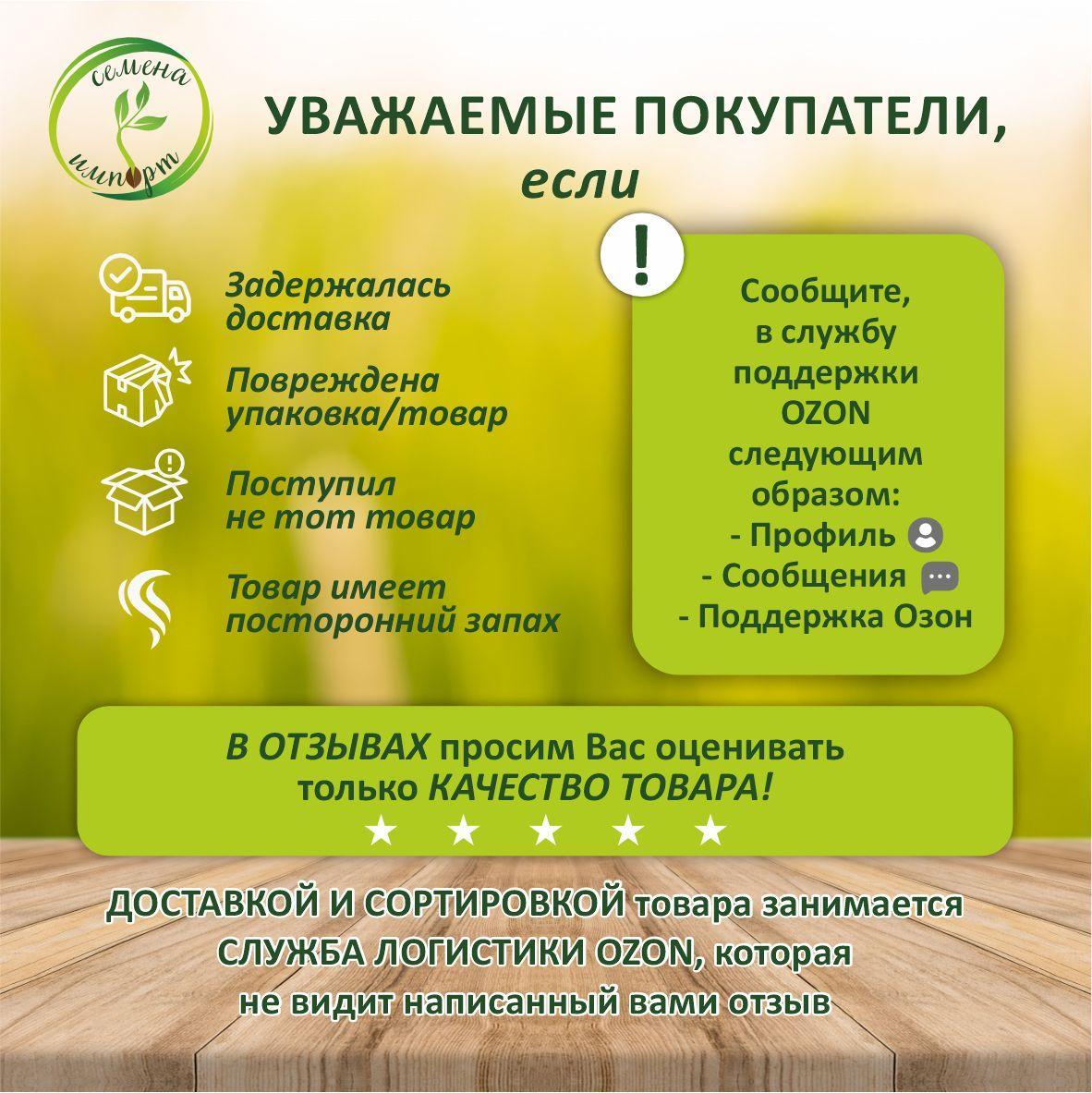 https://cdn1.ozone.ru/s3/multimedia-1-m/7065230386.jpg