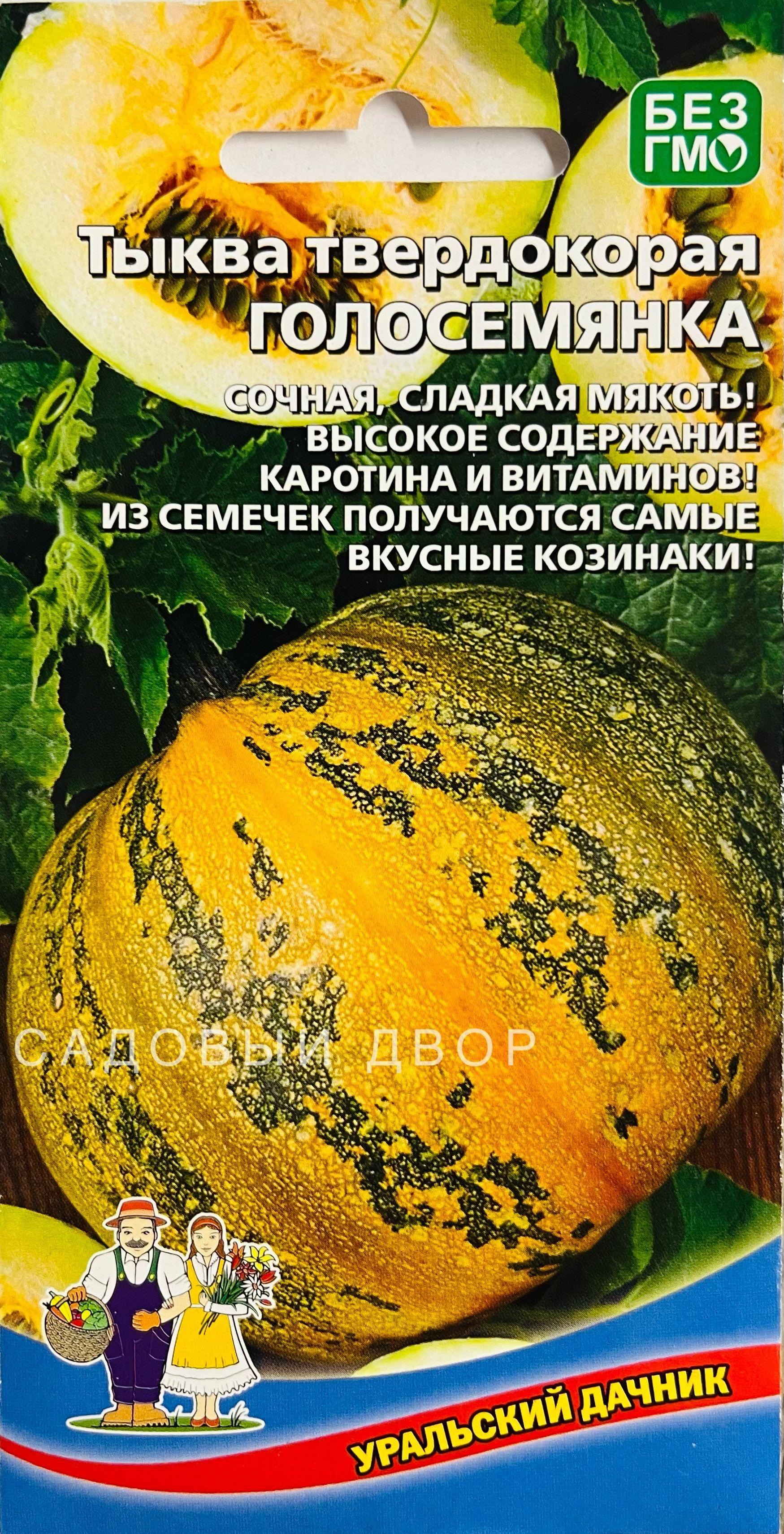 Тыква ГОЛОСЕМЯНКА твердокорая, 1 пакет, семена 5 шт, Уральский Дачник, сладкая мякоть