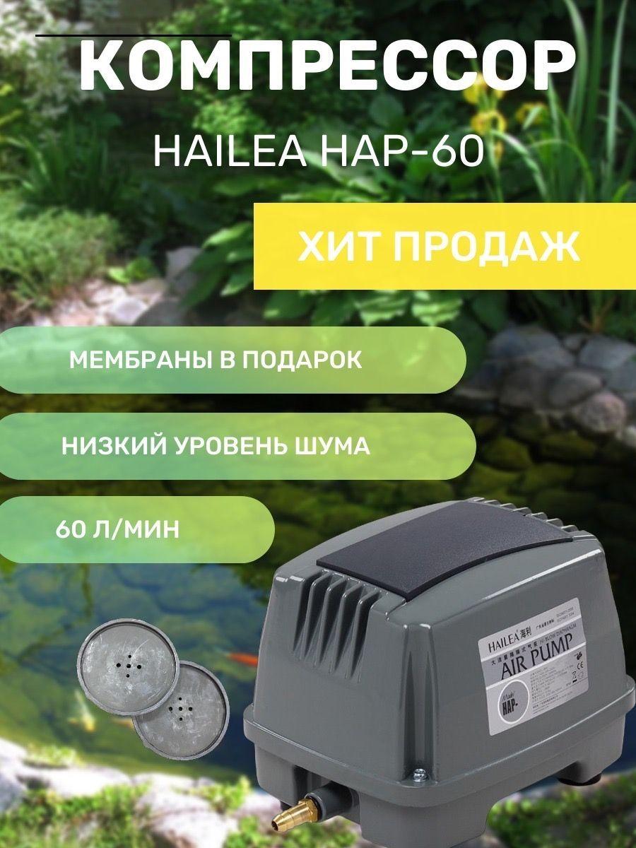 Компрессор Hailea HAP-60. Компрессор для септика, для канализации, для пруда.