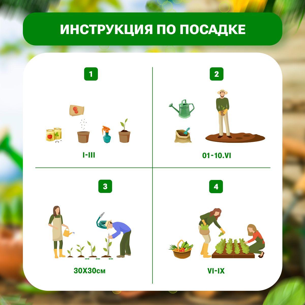 https://cdn1.ozone.ru/s3/multimedia-1-n/7025278307.jpg