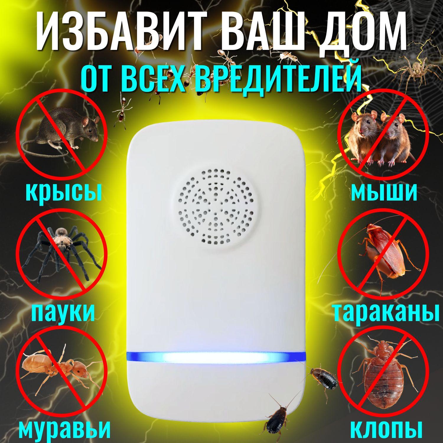 https://cdn1.ozone.ru/s3/multimedia-1-n/7030002731.jpg