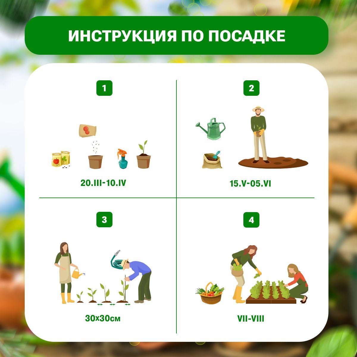 https://cdn1.ozone.ru/s3/multimedia-1-n/7037658023.jpg