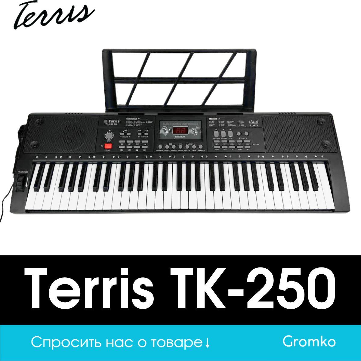 Синтезатор детский Terris TK-250 BK