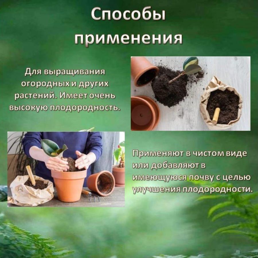 https://cdn1.ozone.ru/s3/multimedia-1-o/7028740752.jpg