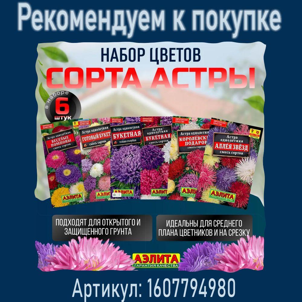 https://cdn1.ozone.ru/s3/multimedia-1-o/7067190876.jpg