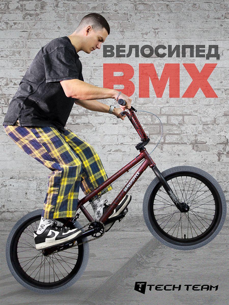 TechTeam Велосипед двухколесный трюковой BMX Grasshopper 20