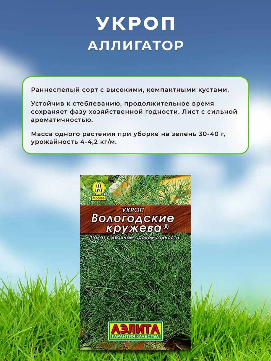 https://cdn1.ozone.ru/s3/multimedia-1-o/7146038364.jpg