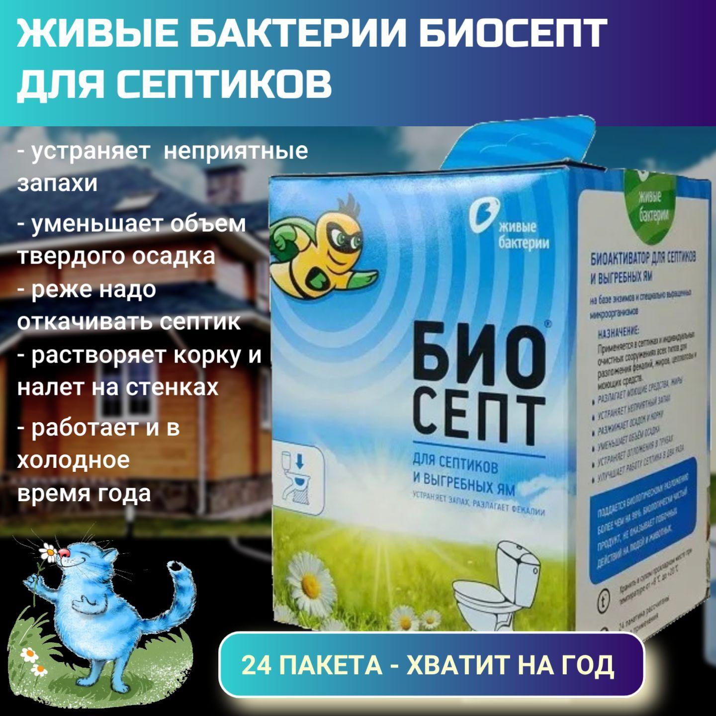 Живые бактерии для септиков и дачных туалетов Биосепт 600 гр, 24 дозы, на 1 год