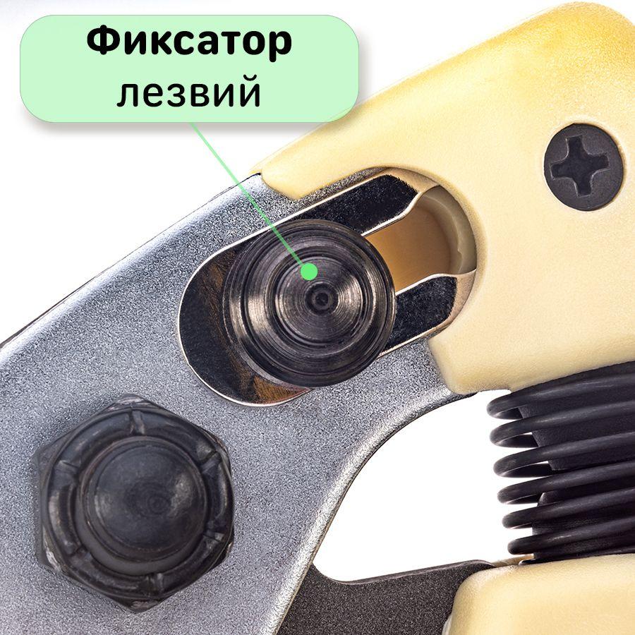 https://cdn1.ozone.ru/s3/multimedia-1-p/6966148201.jpg