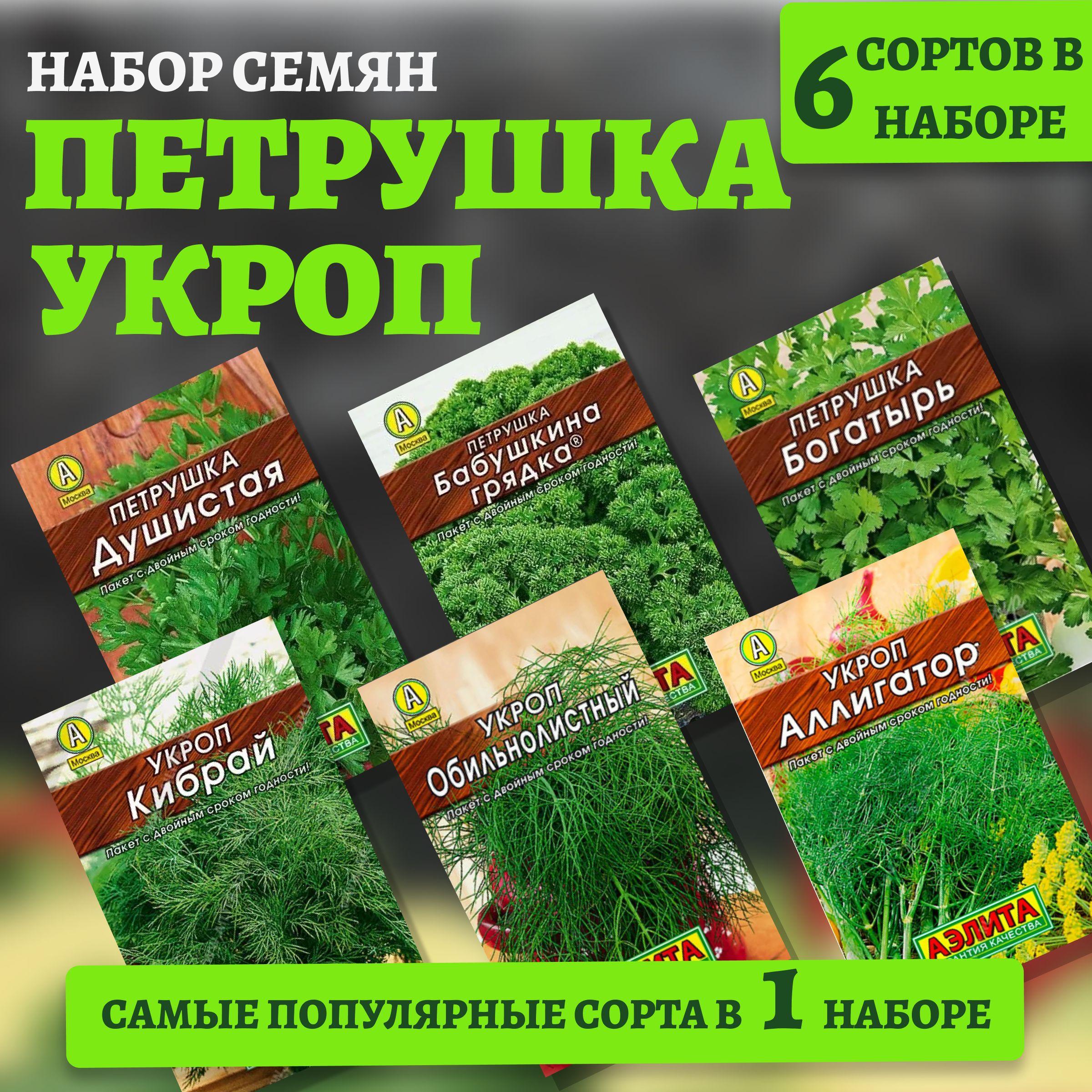 УКРОП / ПЕТРУШКА семена набор 6 популярных сорта / 12 гр. Аэлита