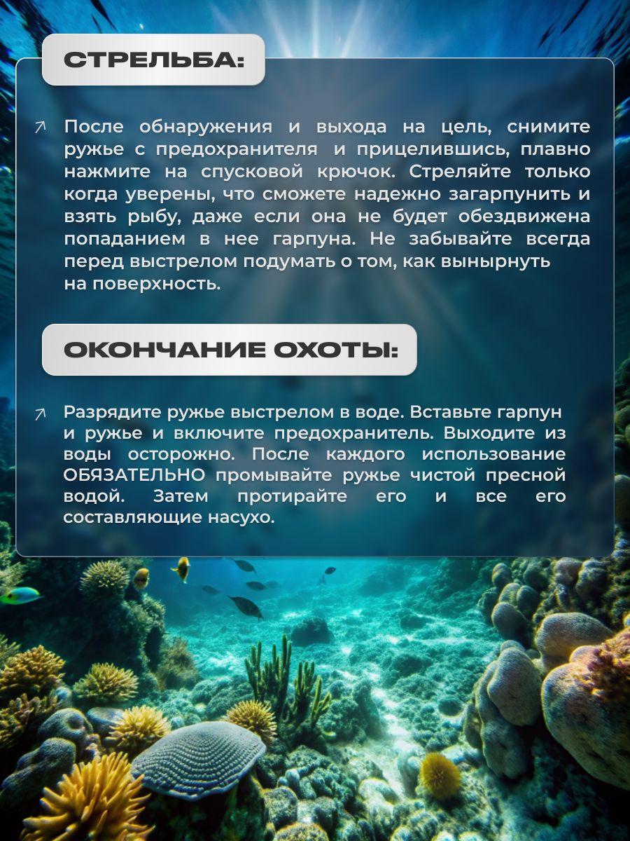 https://cdn1.ozone.ru/s3/multimedia-1-p/7102045069.jpg