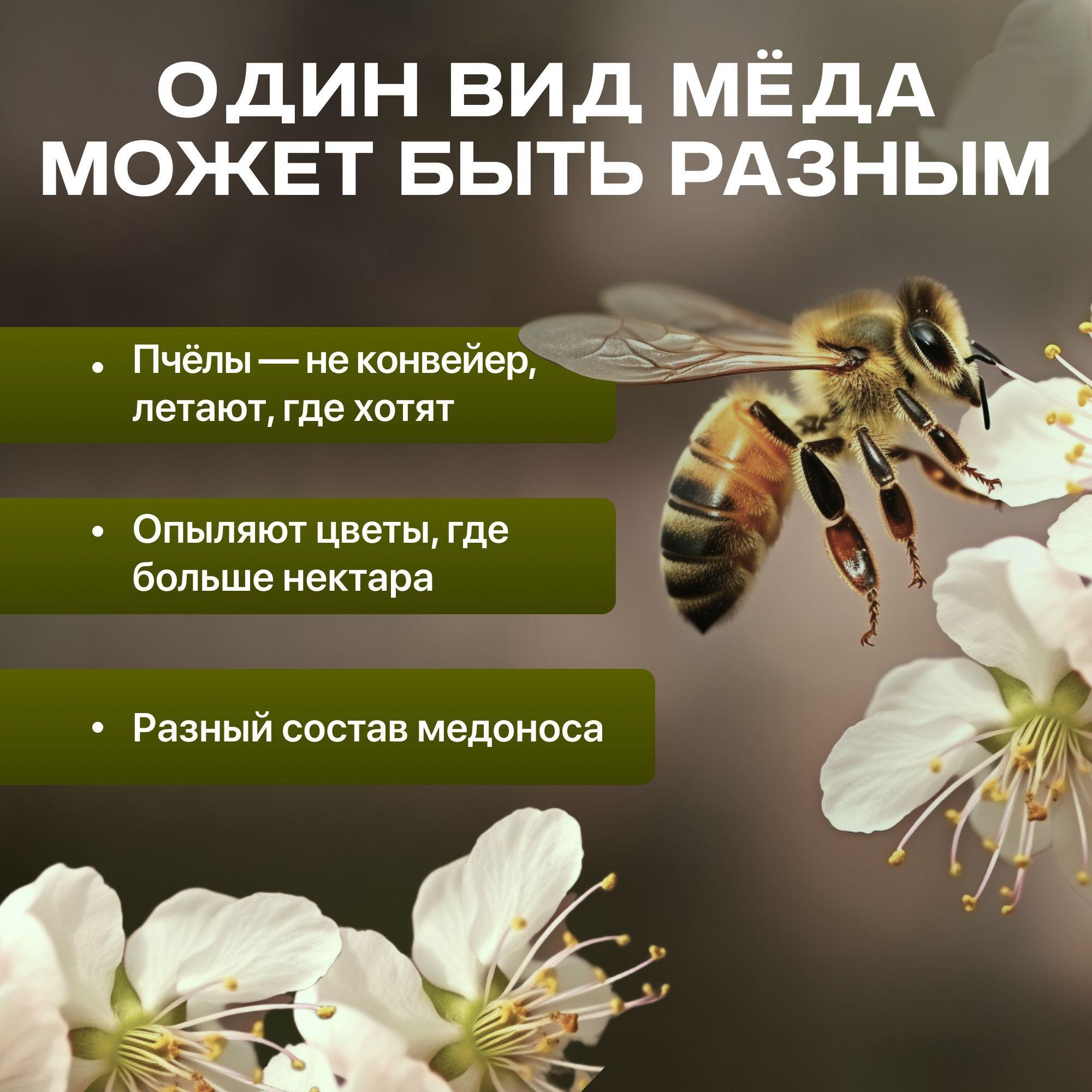 https://cdn1.ozone.ru/s3/multimedia-1-p/7163422477.jpg