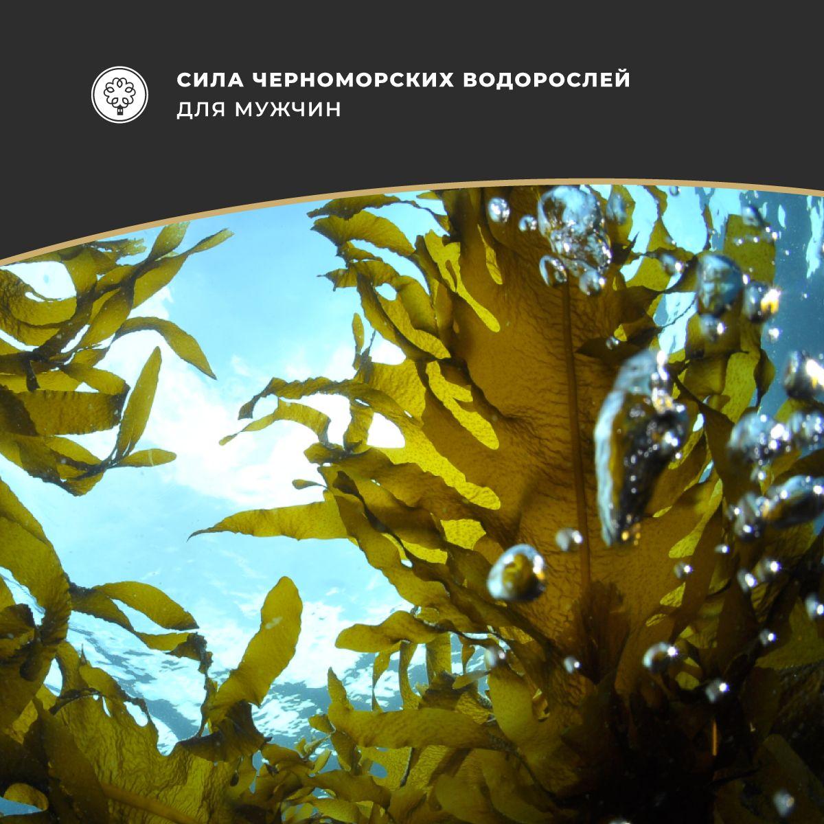 https://cdn1.ozone.ru/s3/multimedia-1-q/6910513010.jpg