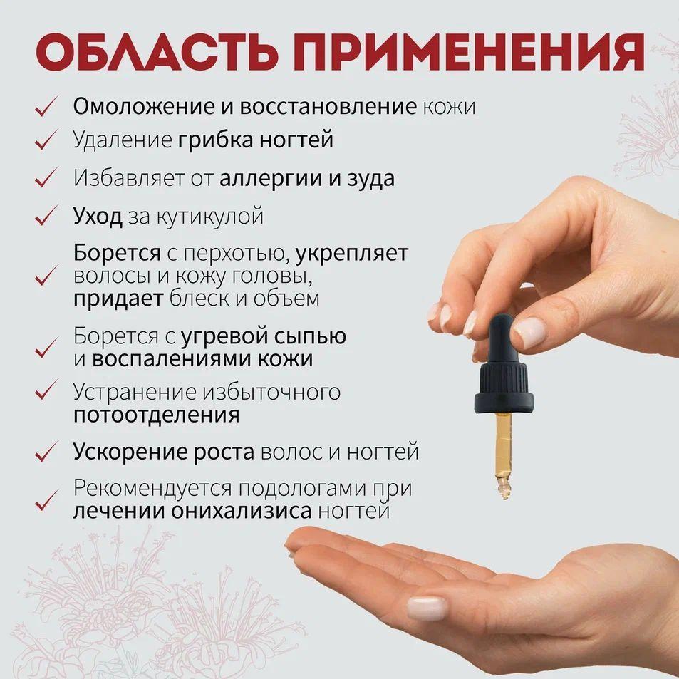 https://cdn1.ozone.ru/s3/multimedia-1-q/6985233854.jpg