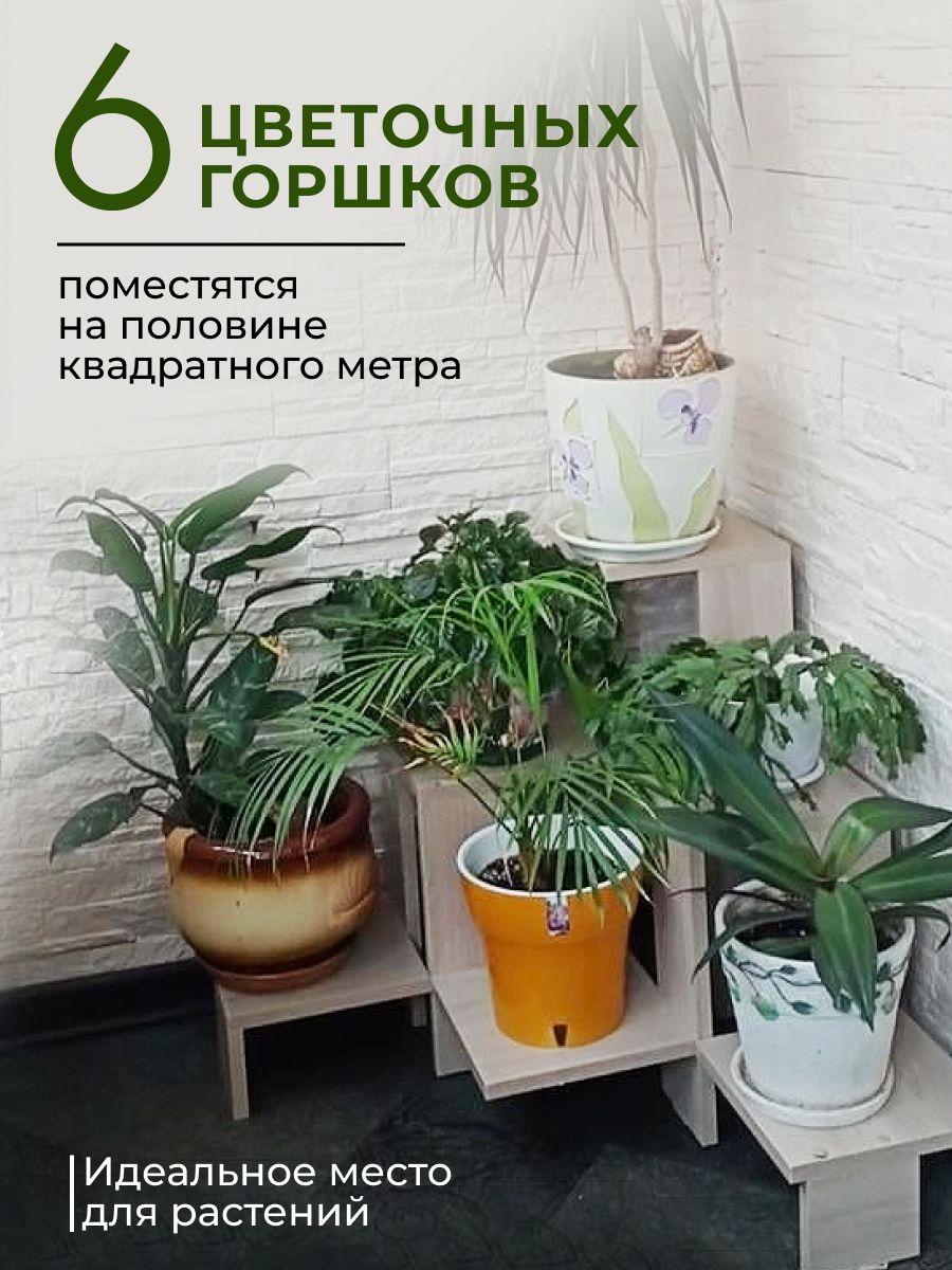 https://cdn1.ozone.ru/s3/multimedia-1-q/7054444718.jpg