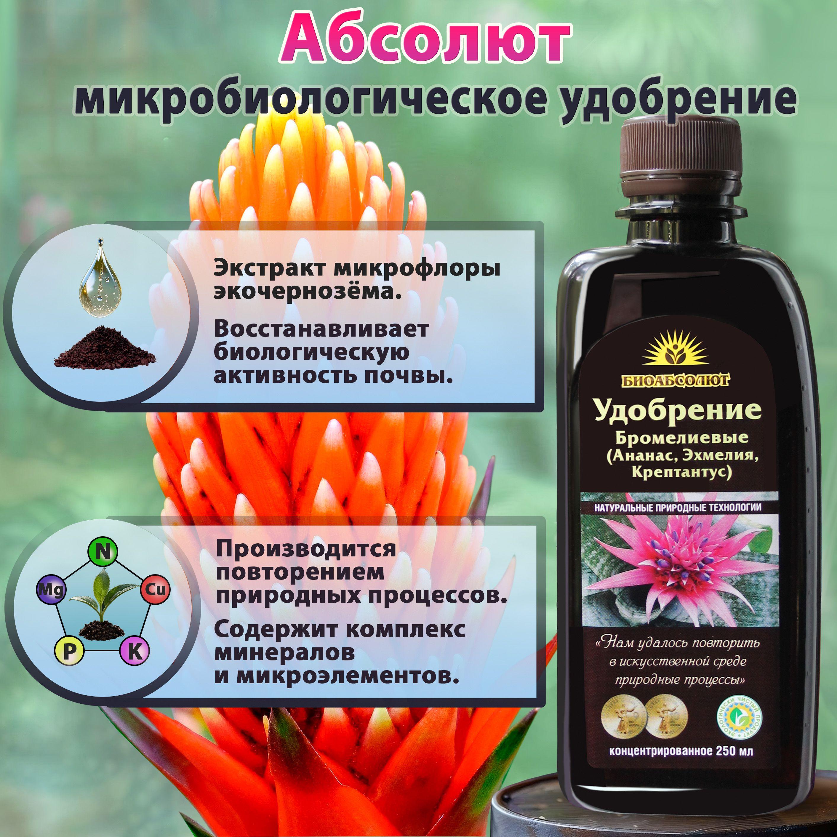 https://cdn1.ozone.ru/s3/multimedia-1-q/7123650254.jpg