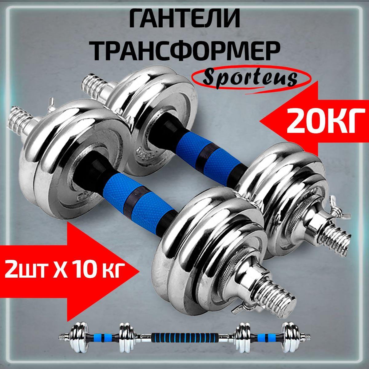 Гантели разборные стальные Sporteus 2 шт по 10 кг с коннектором для штанги в кейсе, синий