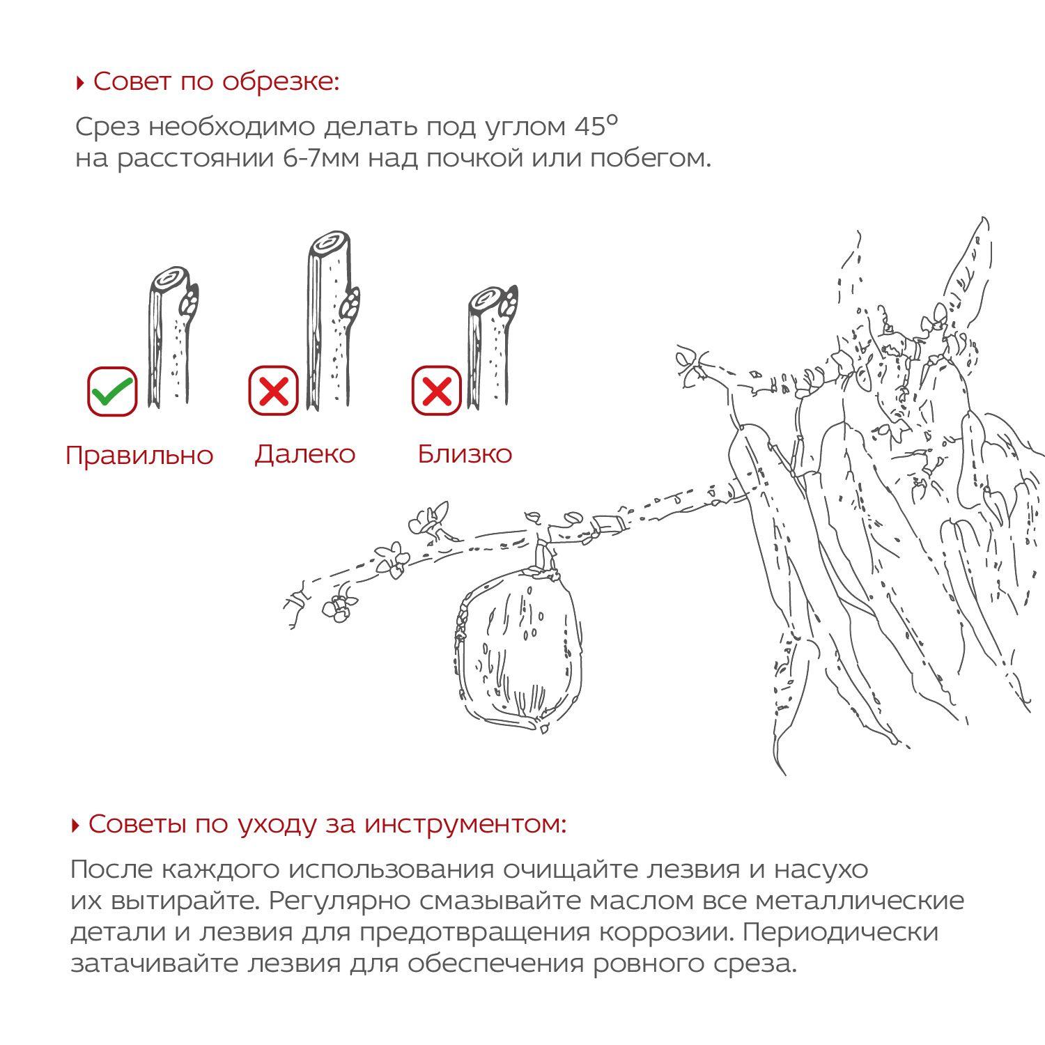 https://cdn1.ozone.ru/s3/multimedia-1-r/6961868091.jpg