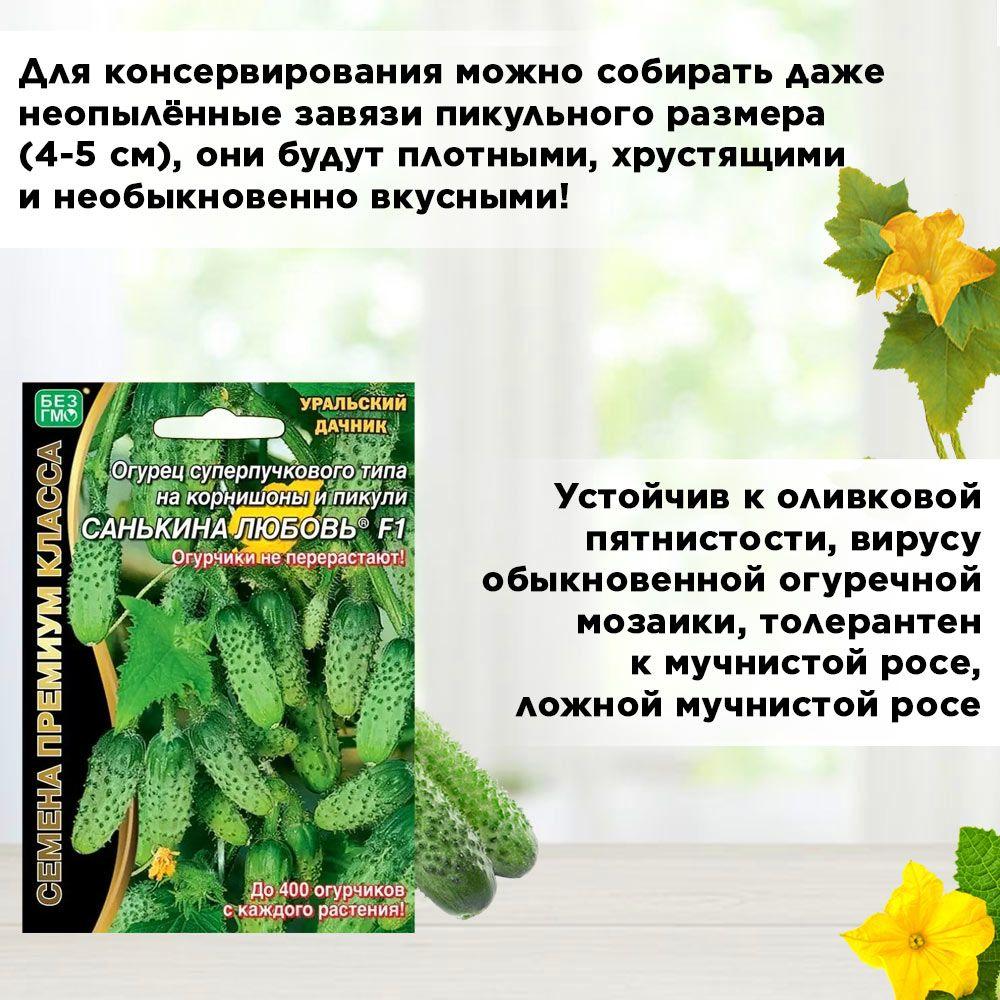 https://cdn1.ozone.ru/s3/multimedia-1-r/7018796115.jpg