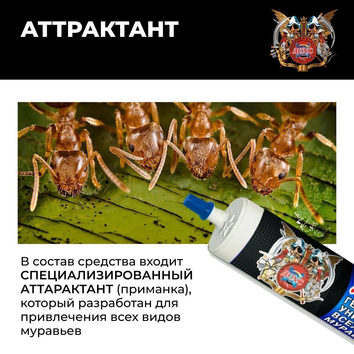 https://cdn1.ozone.ru/s3/multimedia-1-r/7038534411.jpg