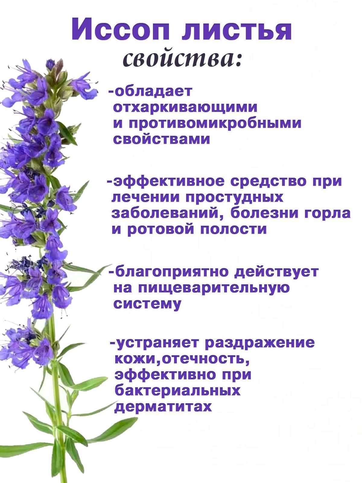 https://cdn1.ozone.ru/s3/multimedia-1-r/7049086803.jpg