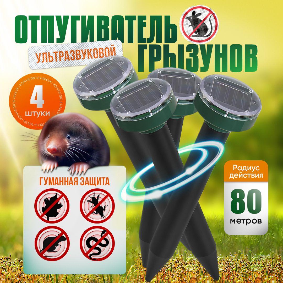 https://cdn1.ozone.ru/s3/multimedia-1-r/7059580155.jpg