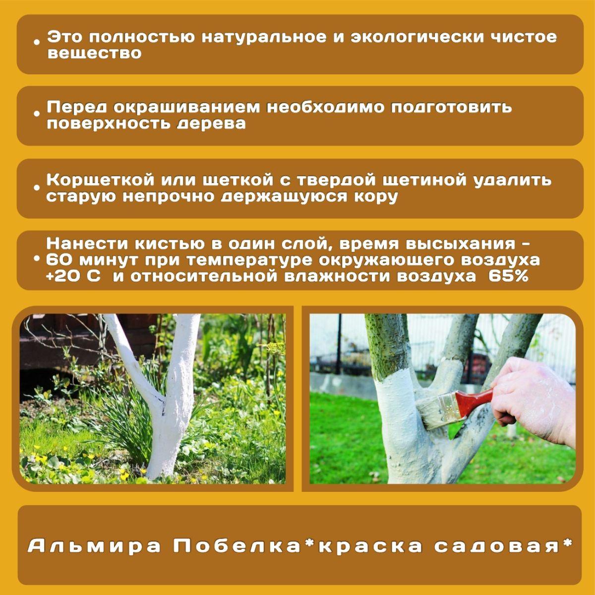 https://cdn1.ozone.ru/s3/multimedia-1-r/7061297571.jpg