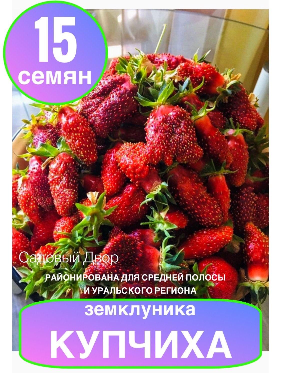 Клубника (земклуника) КУПЧИХА, ур. 2024, 1 пакет, семена 15 шт, + рекомендация по агротехнике