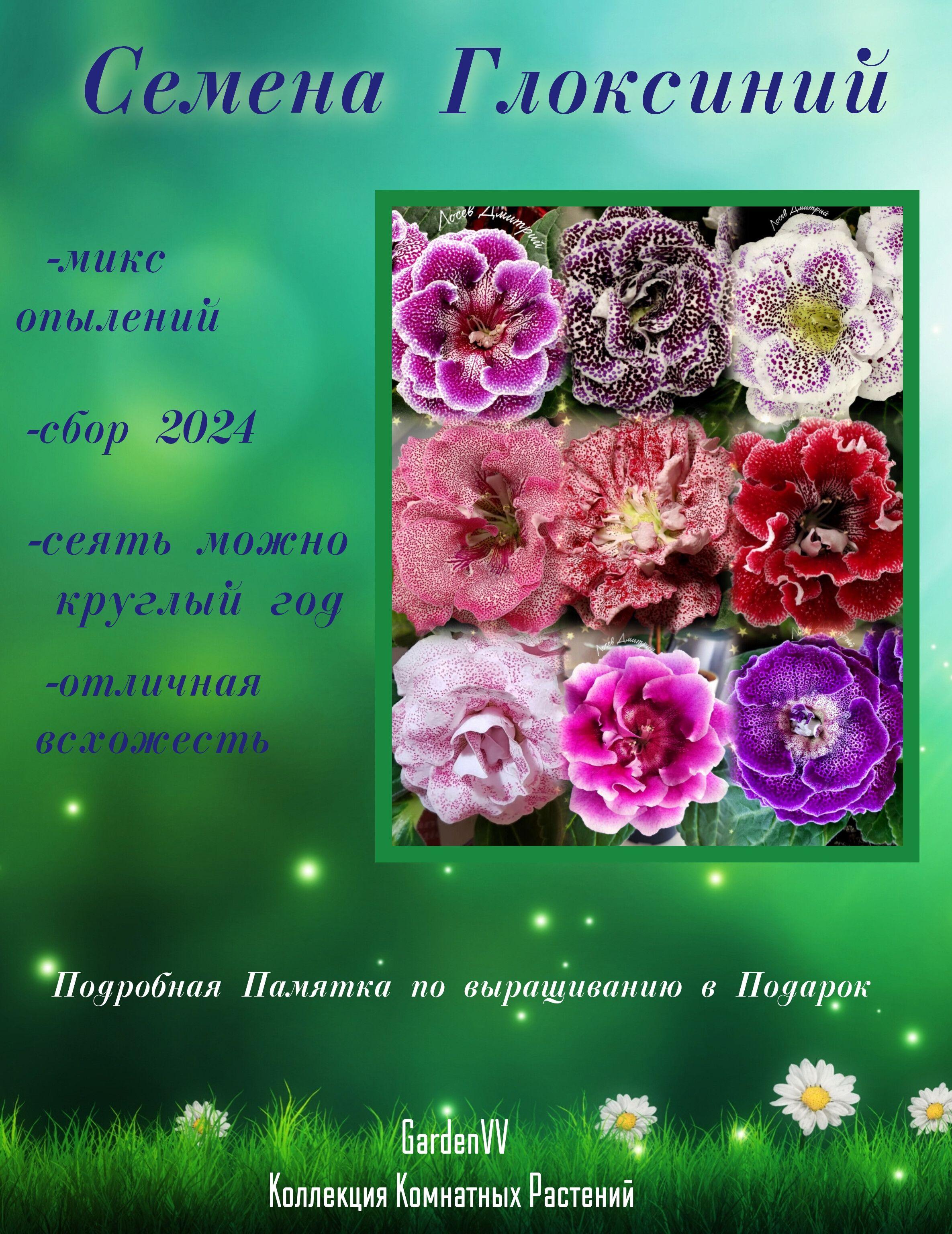 https://cdn1.ozone.ru/s3/multimedia-1-r/7086587787.jpg