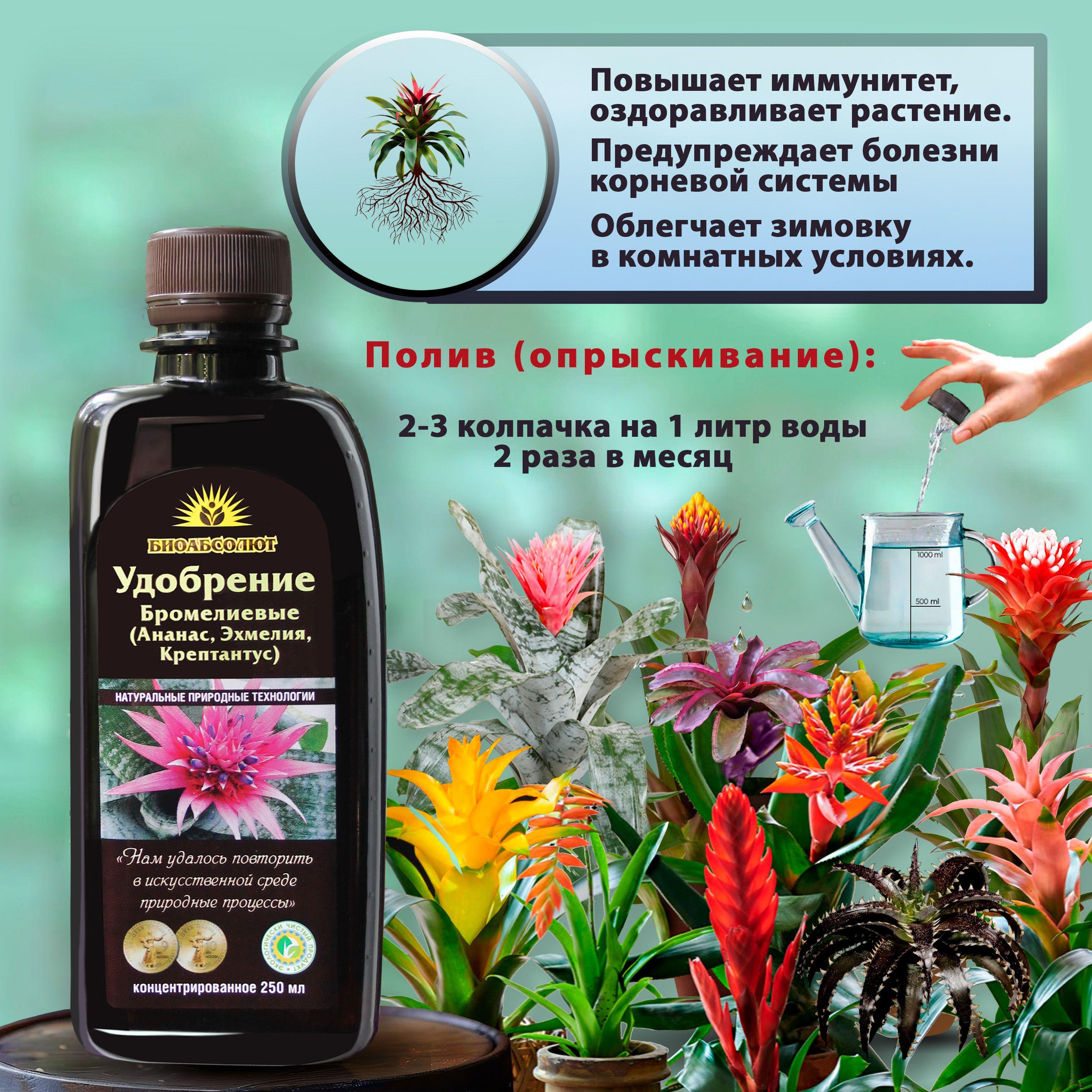 https://cdn1.ozone.ru/s3/multimedia-1-r/7123650255.jpg