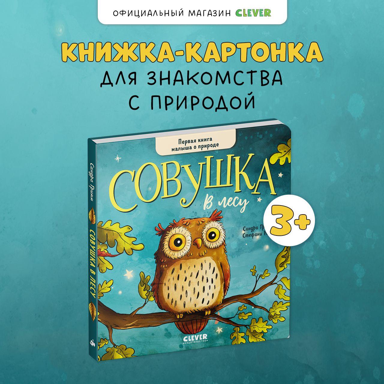 Книжки-картонки. Совушка в лесу. Первая книга малыша о природе | Гримм Сандра