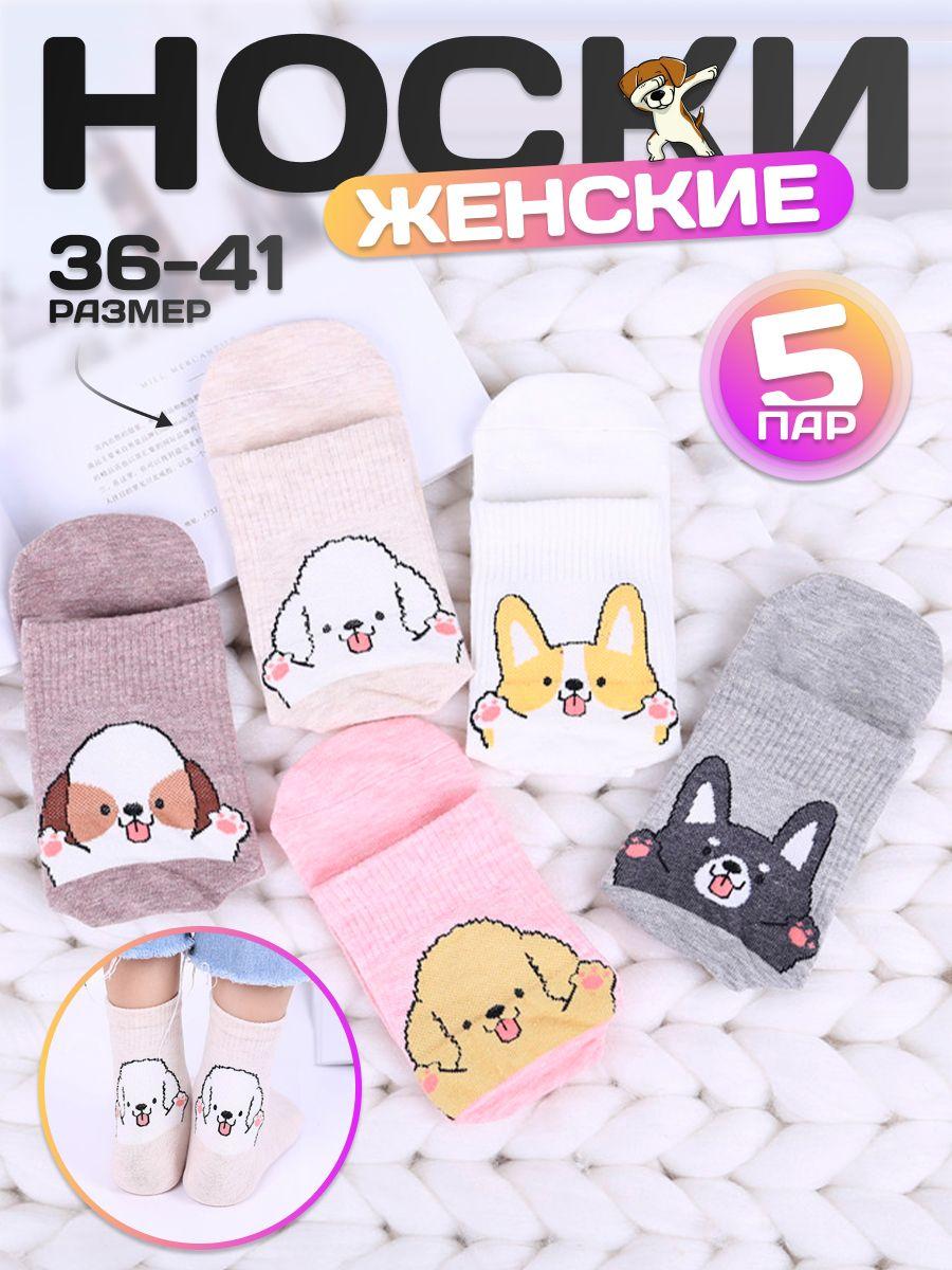 MODERN SOCKS | Носки MODERN SOCKS, 5 пар