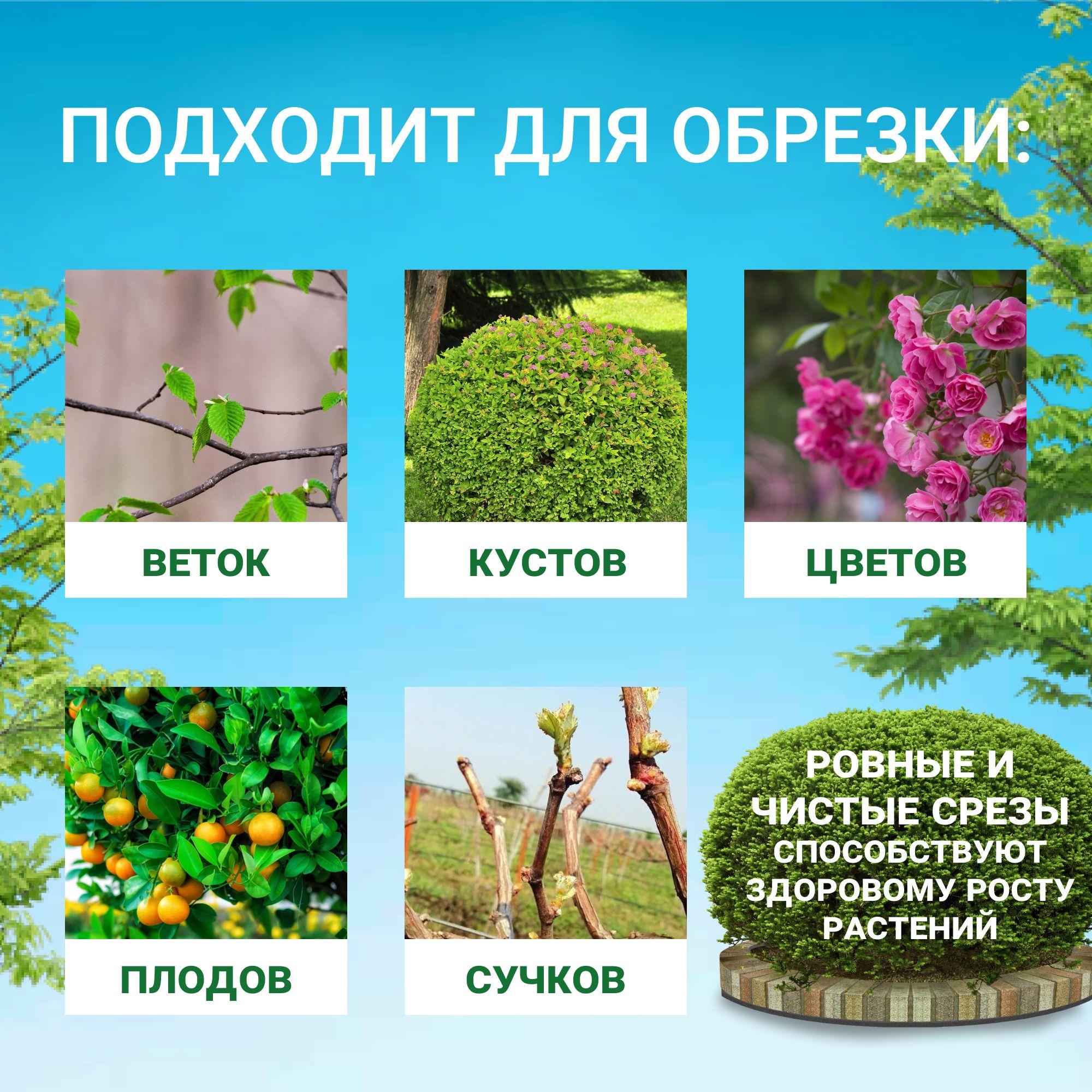 https://cdn1.ozone.ru/s3/multimedia-1-s/6985004932.jpg