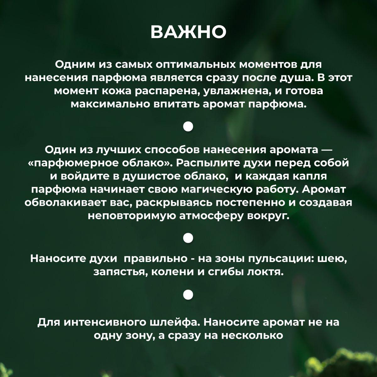 https://cdn1.ozone.ru/s3/multimedia-1-s/7131882160.jpg