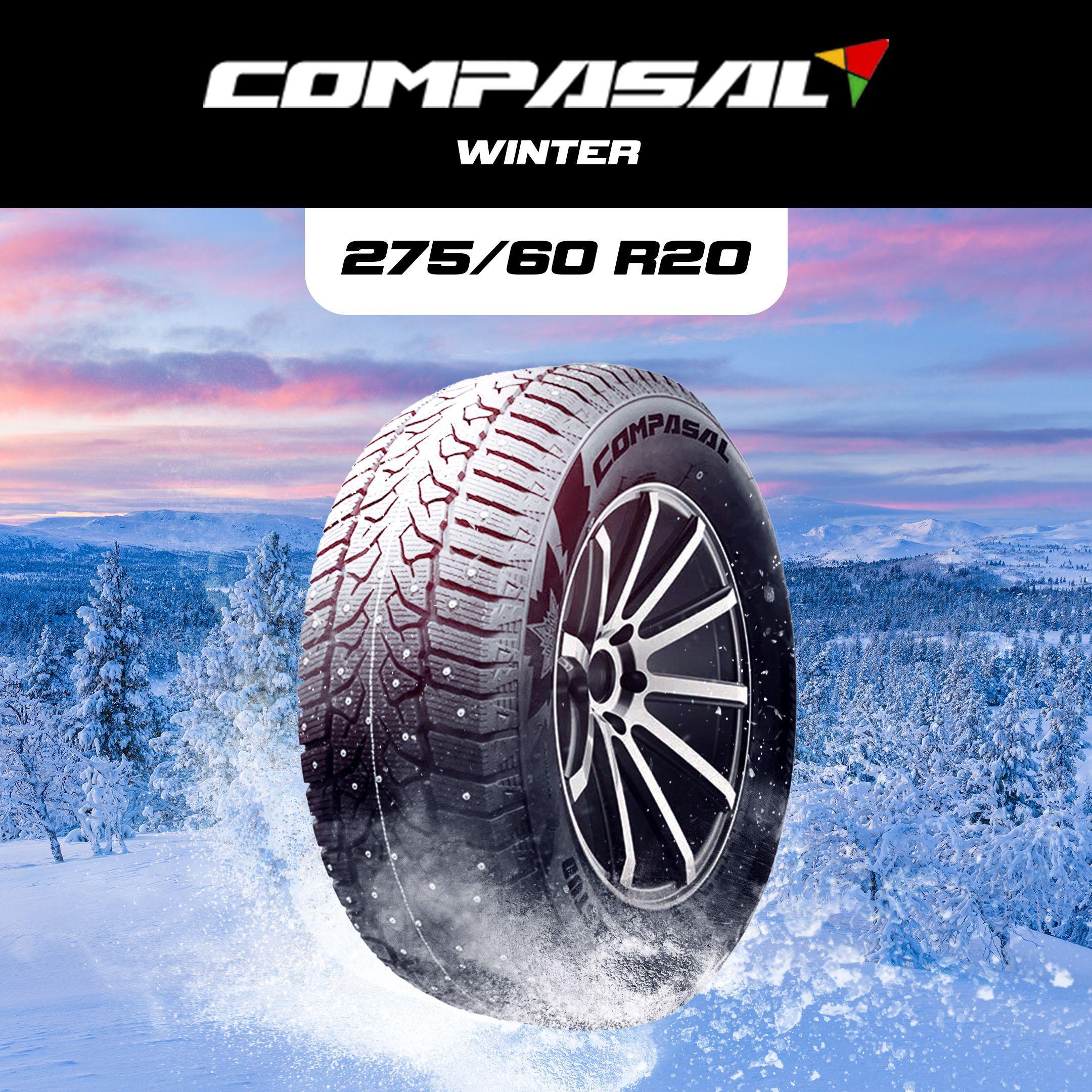 Compasal WINTER STUD Шины  зимние 275/60  R20 119T Шипованные